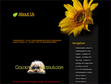 Tablet Screenshot of goldendoodlesrus.com